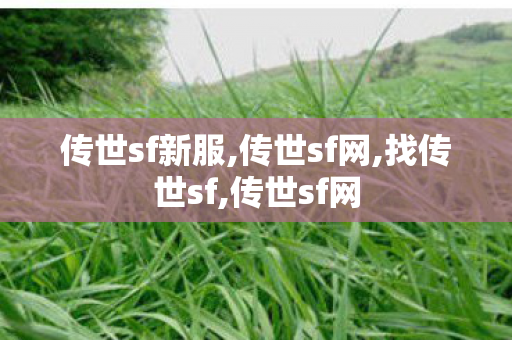 传世sf新服,传世sf网,找传世sf,传世sf网