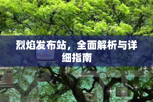 烈焰发布站，全面解析与详细指南