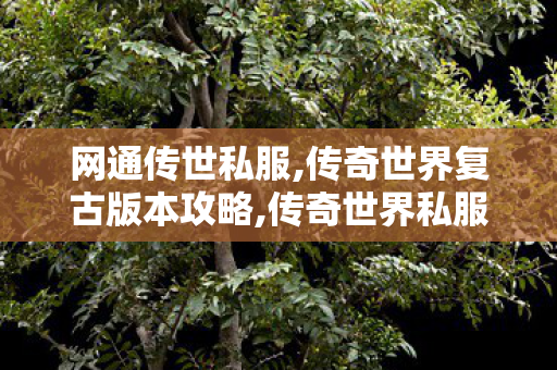 网通传世私服,传奇世界复古版本攻略,传奇世界私服,传世私服新开,传奇世界复古版本攻略
