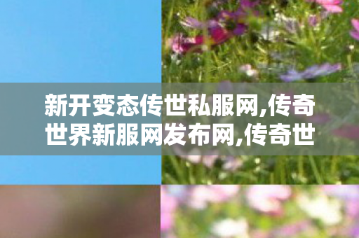新开变态传世私服网,传奇世界新服网发布网,传奇世界新开sf,传奇世界新服网发布网