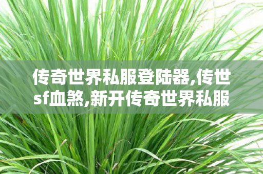 传奇世界私服登陆器,传世sf血煞,新开传奇世界私服,传世sf血煞
