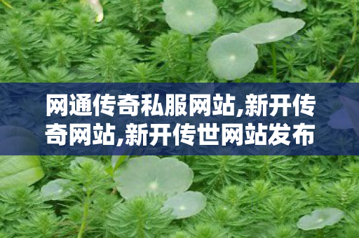 网通传奇私服网站,新开传奇网站,新开传世网站发布网,新开传奇网站