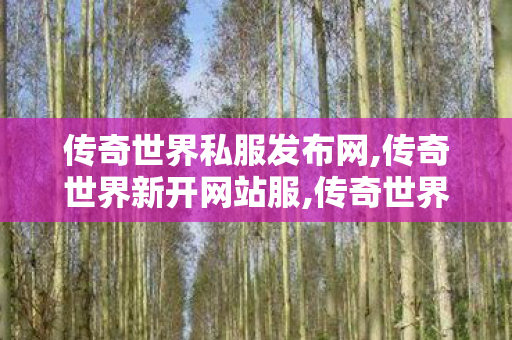 传奇世界私服发布网,传奇世界新开网站服,传奇世界复古有元神,传奇世界新开网站服