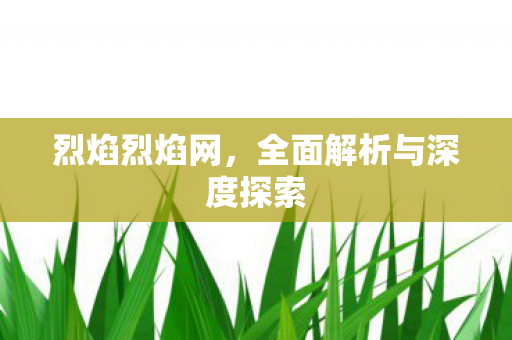 烈焰烈焰网，全面解析与深度探索