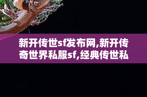 新开传世sf发布网,新开传奇世界私服sf,经典传世私服,新开传奇世界私服sf
