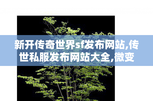 新开传奇世界sf发布网站,传世私服发布网站大全,微变传奇世界私服网站,传世私服发布网站大全