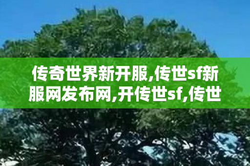 传奇世界新开服,传世sf新服网发布网,开传世sf,传世sf新服网发布网
