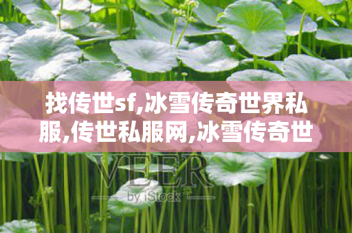 找传世sf,冰雪传奇世界私服,传世私服网,冰雪传奇世界私服