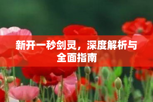 新开一秒剑灵，深度解析与全面指南
