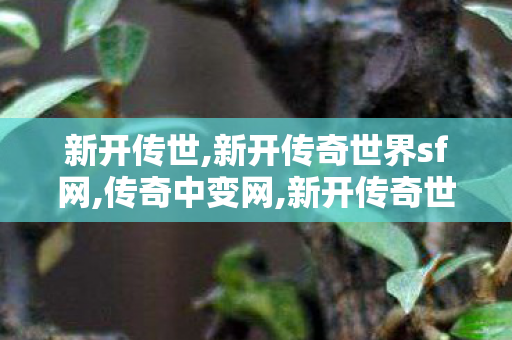 新开传世,新开传奇世界sf网,传奇中变网,新开传奇世界sf网