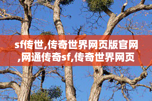 sf传世,传奇世界网页版官网,网通传奇sf,传奇世界网页版官网
