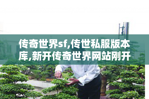 传奇世界sf,传世私服版本库,新开传奇世界网站刚开一秒,传世私服版本库