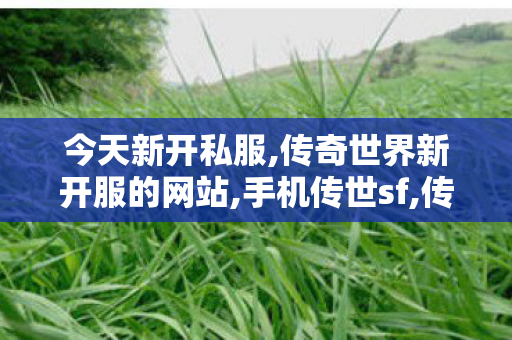 今天新开私服,传奇世界新开服的网站,手机传世sf,传奇世界新开服的网站