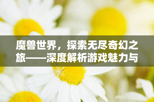 魔兽世界，探索无尽奇幻之旅——深度解析游戏魅力与玩法