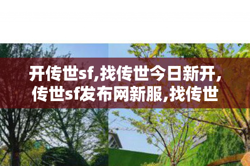 开传世sf,找传世今日新开,传世sf发布网新服,找传世今日新开
