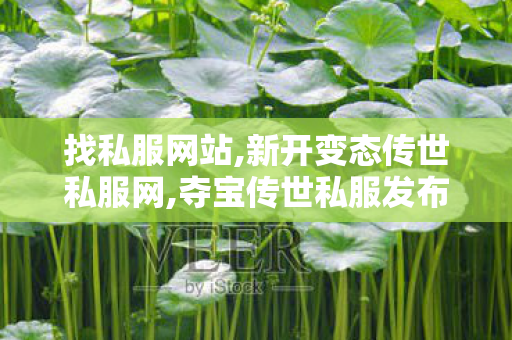 找私服网站,新开变态传世私服网,夺宝传世私服发布网,新开变态传世私服网