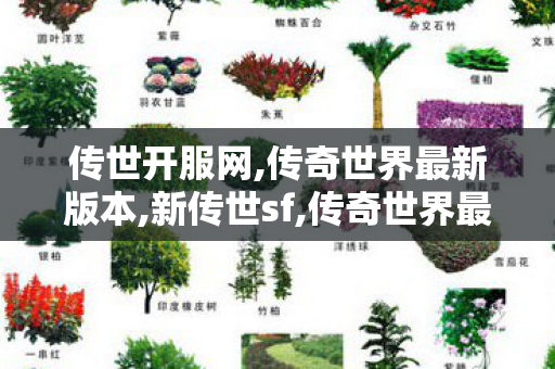 传世开服网,传奇世界最新版本,新传世sf,传奇世界最新版本