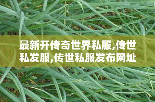 最新开传奇世界私服,传世私发服,传世私服发布网址,传世私发服
