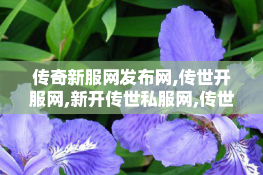 传奇新服网发布网,传世开服网,新开传世私服网,传世开服网