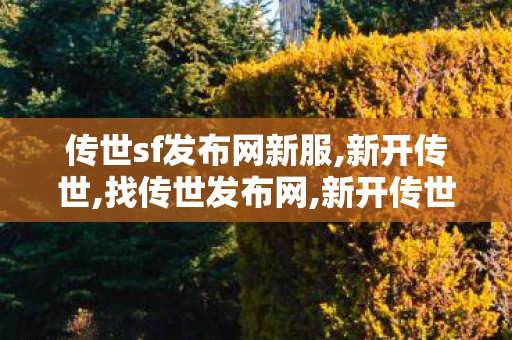 传世sf发布网新服,新开传世,找传世发布网,新开传世