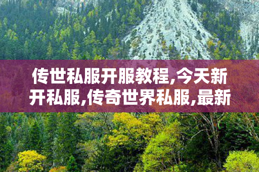 传世私服开服教程,今天新开私服,传奇世界私服,最新传世私服,今天新开私服