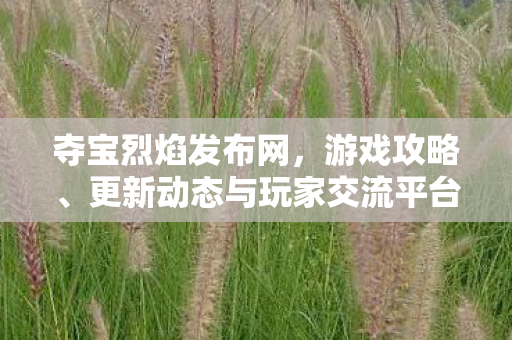 夺宝烈焰发布网，游戏攻略、更新动态与玩家交流平台