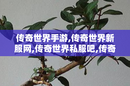 传奇世界手游,传奇世界新服网,传奇世界私服吧,传奇世界新服网