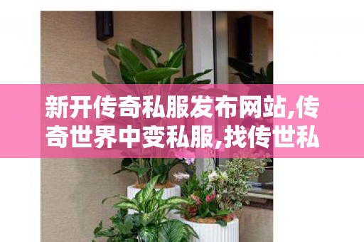 新开传奇私服发布网站,传奇世界中变私服,找传世私服发布网站,传奇世界中变私服