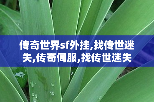 传奇世界sf外挂,找传世迷失,传奇伺服,找传世迷失