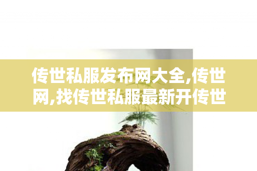传世私服发布网大全,传世网,找传世私服最新开传世sf网,传世网