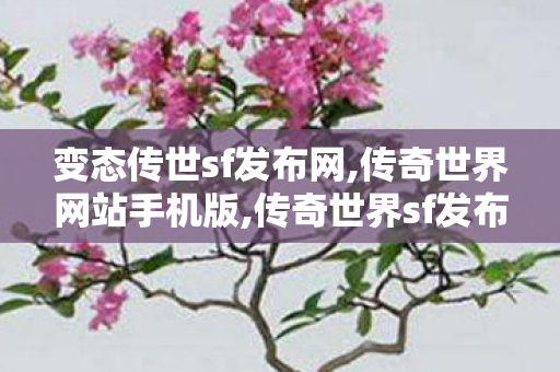 变态传世sf发布网,传奇世界网站手机版,传奇世界sf发布,传奇世界网站手机版