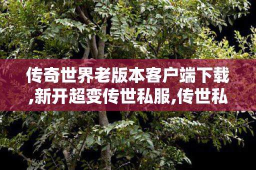 传奇世界老版本客户端下载,新开超变传世私服,传世私服怀旧,新开超变传世私服
