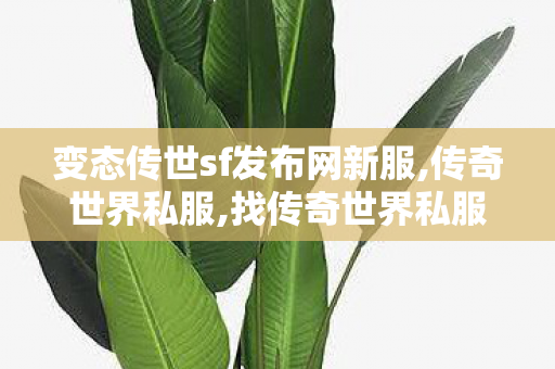 变态传世sf发布网新服,传奇世界私服,找传奇世界私服,传奇世界私服