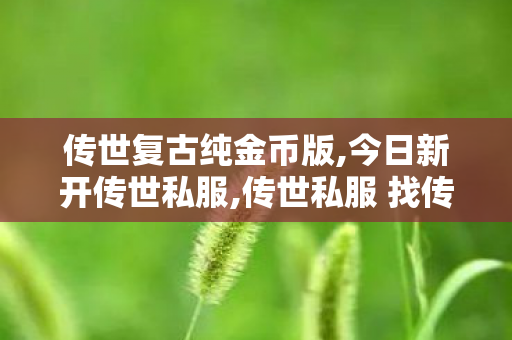 传世复古纯金币版,今日新开传世私服,传世私服 找传世网,今日新开传世私服