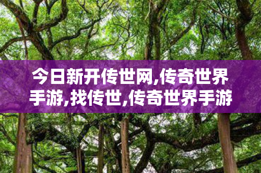 今日新开传世网,传奇世界手游,找传世,传奇世界手游