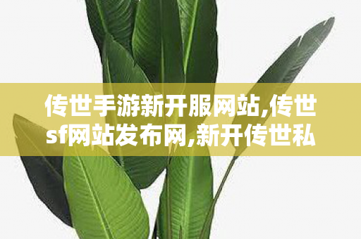 传世手游新开服网站,传世sf网站发布网,新开传世私服开服表,传世sf网站发布网