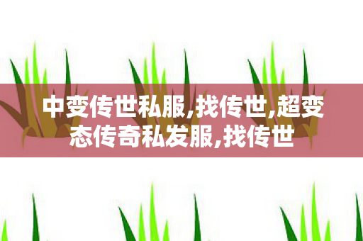 中变传世私服,找传世,超变态传奇私发服,找传世