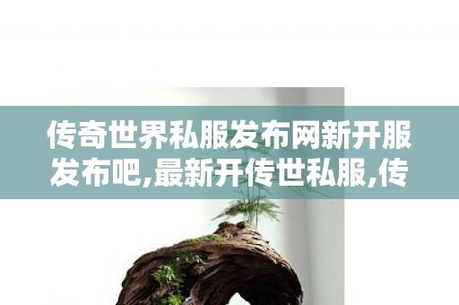 传奇世界私服发布网新开服发布吧,最新开传世私服,传奇世界sf,最新开传世私服