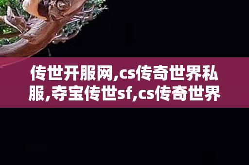 传世开服网,cs传奇世界私服,夺宝传世sf,cs传奇世界私服