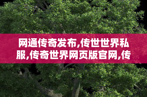 网通传奇发布,传世世界私服,传奇世界网页版官网,传世世界私服