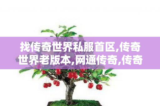找传奇世界私服首区,传奇世界老版本,网通传奇,传奇世界老版本