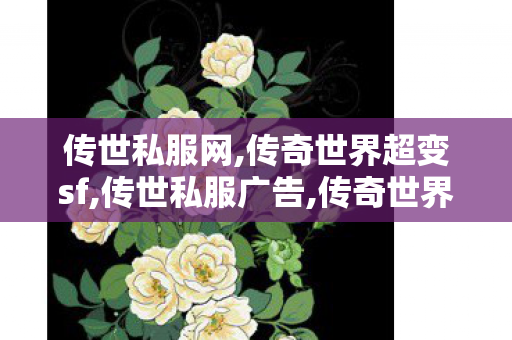 传世私服网,传奇世界超变sf,传世私服广告,传奇世界超变sf