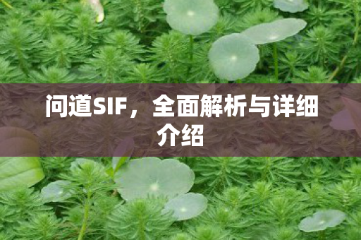 问道SIF，全面解析与详细介绍
