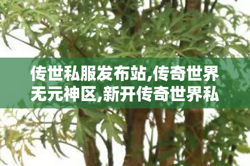 传世私服发布站,传奇世界无元神区,新开传奇世界私服,传奇世界无元神区