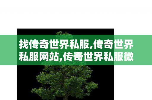 找传奇世界私服,传奇世界私服网站,传奇世界私服微变,传奇世界私服网站