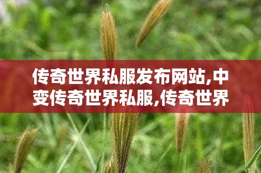 传奇世界私服发布网站,中变传奇世界私服,传奇世界私服发布网新开服,中变传奇世界私服