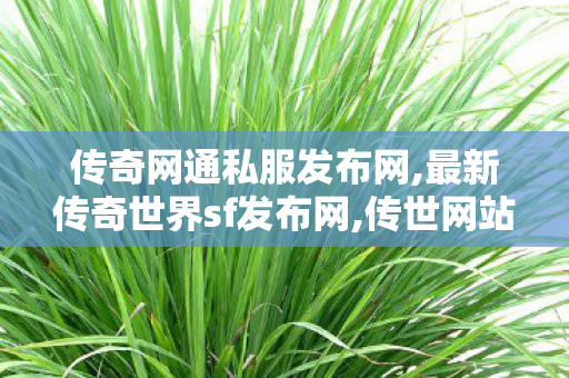 传奇网通私服发布网,最新传奇世界sf发布网,传世网站发布网,最新传奇世界sf发布网