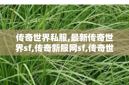传奇世界私服,最新传奇世界sf,传奇新服网sf,传奇世界私服微变,传奇新服网sf