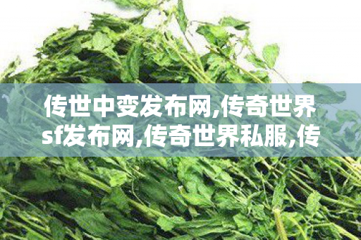 传世中变发布网,传奇世界sf发布网,传奇世界私服,传奇世界sf发布网,传奇世界sf发布网