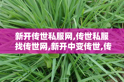 新开传世私服网,传世私服 找传世网,新开中变传世,传世私服 找传世网
